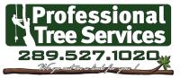 Professional Tree Services image 11